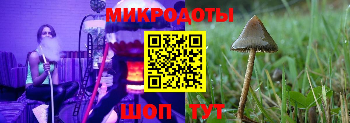 Псилоцибиновые грибы Psilocybine cubensis  наркотики  Псилоцибиновые грибы ЛСД  Казань  Вход с VPN 